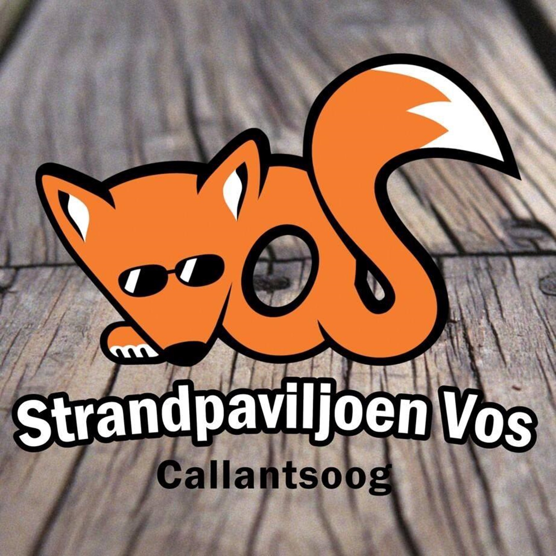Strandpaviljoen Vos banner